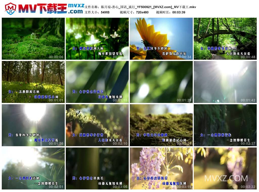 陈月琼-善心_国语_流行_YF500921